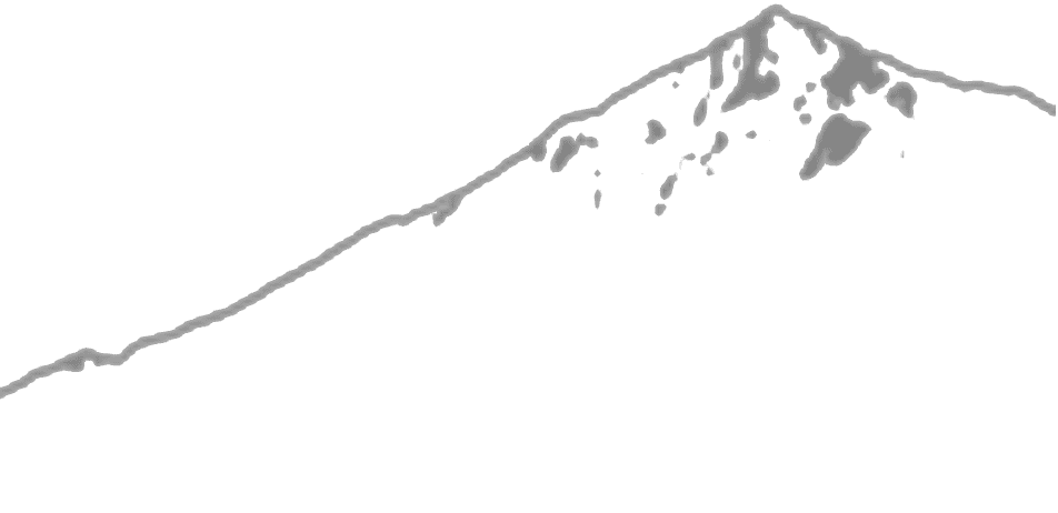 Logo silhouette